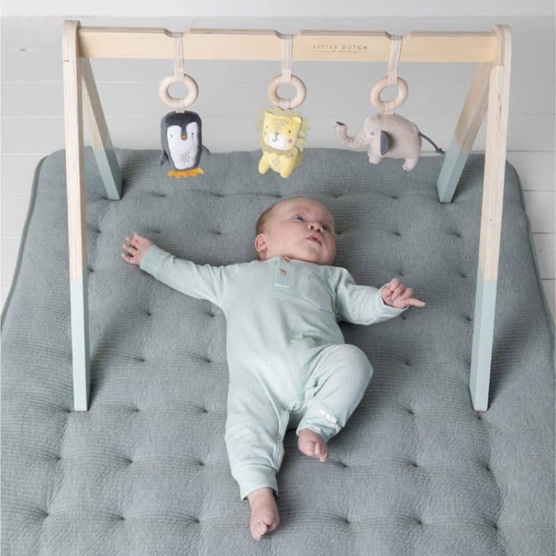 Arche D Eveil En Bois Avec Jouets Mint Nos Minis