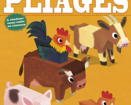 PLIAGE A LA FERME