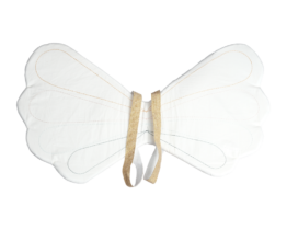 fairy_wings_1024x1024