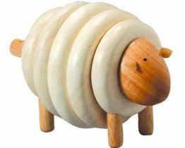 plantoys-pt5150-jouet-en-bois-jeu-d-eveil