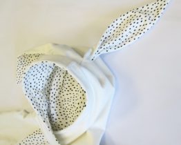 2 SW-oreilles-bio_LPF