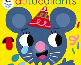 Editions lito Autocollants drôles de têtes - les émotions