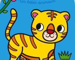 Editions lito COLORIAGE BEBES ANIMAUX SAUVAGES