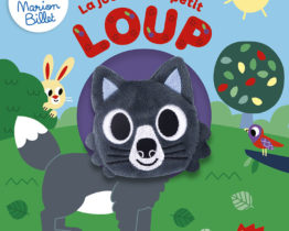 LIVRE MARIONNETTE PETIT LOUP