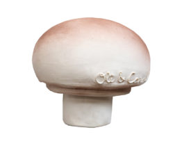 oli et carol Manolo le champignon