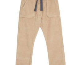 R365 Dune copie