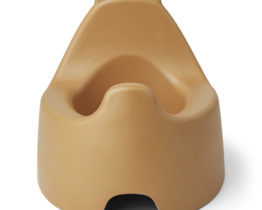 20200107_111943_1578392383.528_JONATAN-POTTY-MUSTARD_3