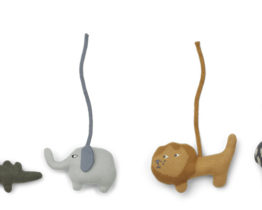 20200923_094204_1600846924.5329_HELMUS-PLAYGYM-ACCESSORIES-6-PACK